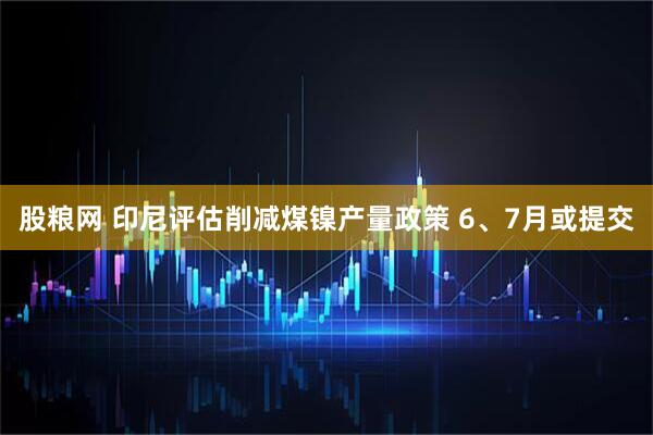 股粮网 印尼评估削减煤镍产量政策 6、7月或提交