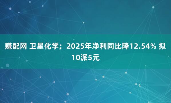 赚配网 卫星化学：2025年净利同比降12.54% 拟10派5元